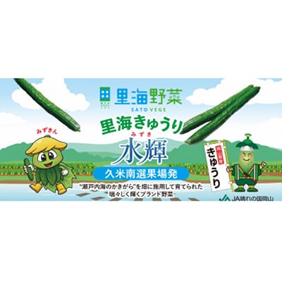 久米南町産　里海きゅうり 約5kg