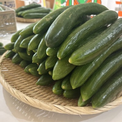 久米南町産　里海きゅうり 約5kg