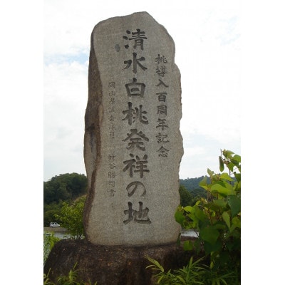 岡山県産　清水白桃　5～6玉入り　1.5キロ 化粧箱入り