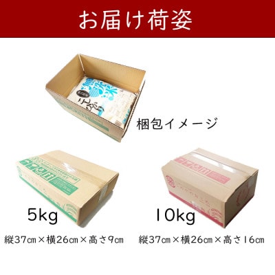 【無洗米】令和7年産 岡山県産 こしひかり 5kg