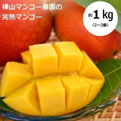 【2026年7月中旬より順次発送】完熟マンゴー約1kg(2～3個:化粧箱入り)、贈答用(A級品)