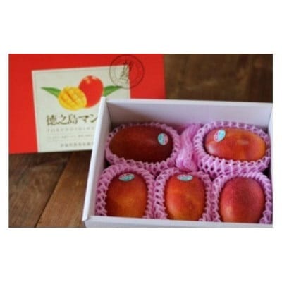 【2026年7月中旬より順次発送】完熟マンゴー約2kg(4～6個:化粧箱入り)、家庭用(B級品)