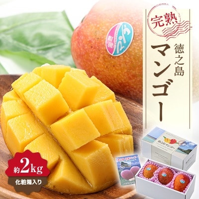 【先行予約!2026年7月より順次発送】 清水果樹園 マンゴー 約2kg(化粧箱入り)