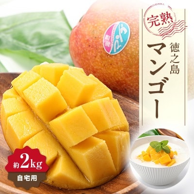 【先行予約!2026年7月より順次発送】 清水果樹園 自宅用 マンゴー 約2kg