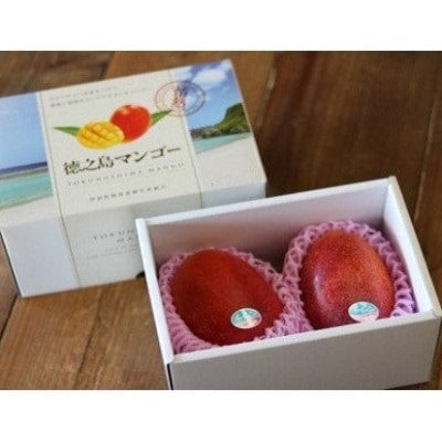 先行予約!2026年7月発送 徳之島 伊仙町 盛農園より徳之島マンゴー 約1kgをお届け!【化粧箱】