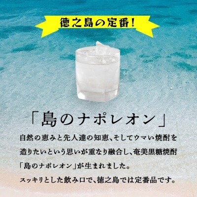 島のナポレオン1,800ml瓶2本セット　mkmt09