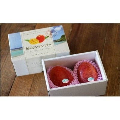 【2026年7月中旬より順次発送】完熟マンゴー約1kg(2～3個:化粧箱入り)、家庭用(B級品)