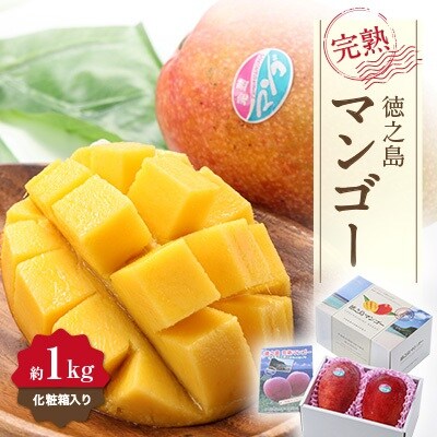 【先行予約!2026年7月より順次発送】 清水果樹園 マンゴー 約1kg(化粧箱入り)
