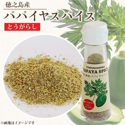 パパイヤスパイス　唐辛子入り1本