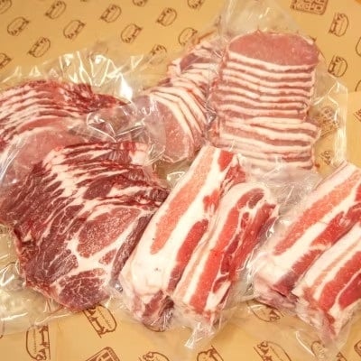 島豚焼肉セット　F