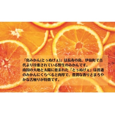 島みかんとぅぬげぇジュース　3本セット
