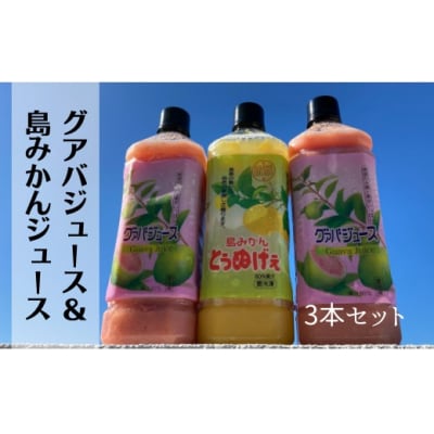 グァバ&島みかんジュース　3本セット