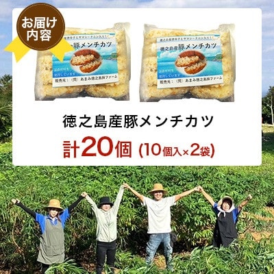 徳之島産 豚メンチカツ 10個入り×2袋
