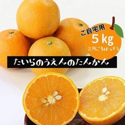 <2027年2月より順次発送> 平農園のたんかん <ご自宅用>約5kg