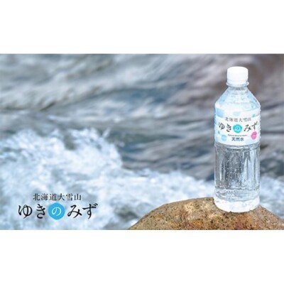 【毎月定期便】北海道大雪山　ゆきのみず　550ml×24本入り全10回【618】