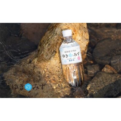 北海道大雪山　ゆきのみず　550ml×24本入り 【2ケース計48本】【622】