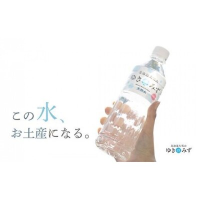 【毎月定期便】北海道大雪山　ゆきのみず　550ml×24本入り【619】全3回