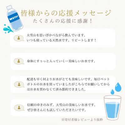 北海道大雪山　ゆきのみず　550ml×24本入り【601】
