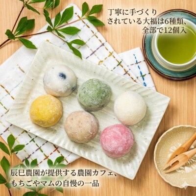 【北海道上川町】もちごやマム 手づくり大福ギフトボックス 6種類12個入り