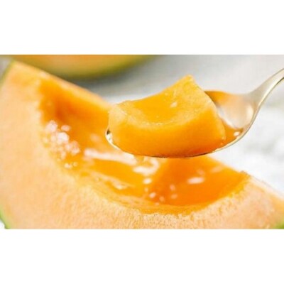 【2026年夏発送】岸田農園産 北海道メロン 5玉入り(サイズ:1玉1.7kg以上)【203】