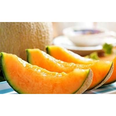 【訳あり】家庭用2026年夏発送　岸田農園北海道メロン3玉(1玉1.5kg)30セット限定