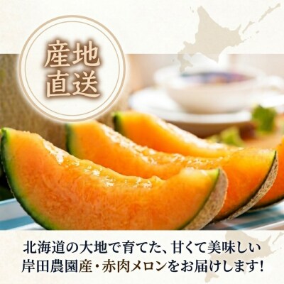 2027年初取り!岸田農園産 北海道メロン3玉入り(1玉:1.5kg以上)【30セット限定】