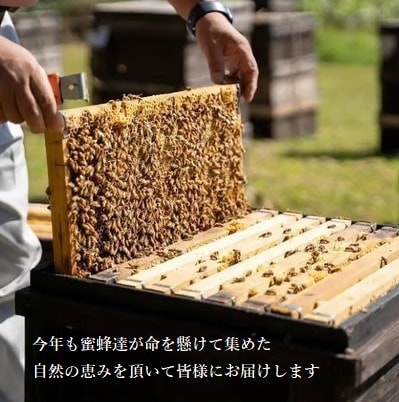 上川町産純粋はちみつ900g(シナの木蜂蜜600g×1本 百花蜂蜜300g×1本)