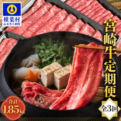 【定期便 3回】受賞歴多数!! 宮崎牛を3ヶ月で合計1.85キロ 宮崎牛づくし MT-37