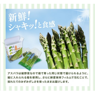 秀品 アスパラガス グリーンアスパラ 2L 800g 門別町農業協同組合《4月上旬-5月末頃出荷》