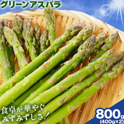 アスパラガス グリーンアスパラ L 800g 門別町農業協同組合《4月中旬-5月末頃出荷予定》