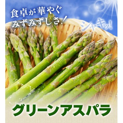 アスパラガス グリーンアスパラ L 800g 門別町農業協同組合《4月中旬-5月末頃出荷予定》