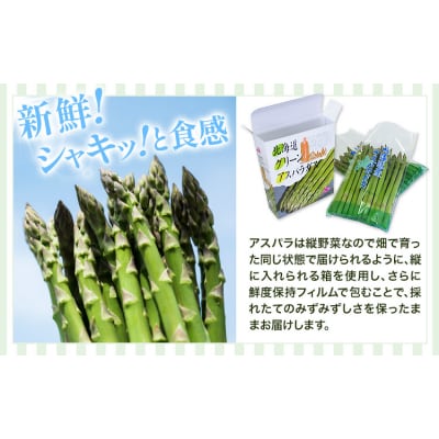 秀品 アスパラガス グリーンアスパラ L 1kg 門別町農業協同組合《4月中旬-5月末頃出荷予定》