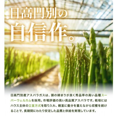 アスパラガス グリーンアスパラ L 1kg 門別町農業協同組合《4月中旬-5月末頃出荷予定》