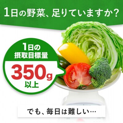 【9ヶ月定期便】1日分の野菜 200ml 24本《お申込み月の翌月から出荷開始》