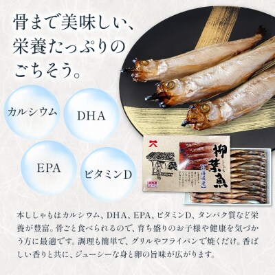 北海道産 ししゃも オス M30尾 有限会社阿部水産《14日以内に出荷予定》