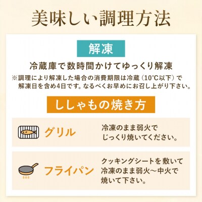 北海道産 ししゃも メス M30尾 有限会社阿部水産《14日以内に出荷予定》