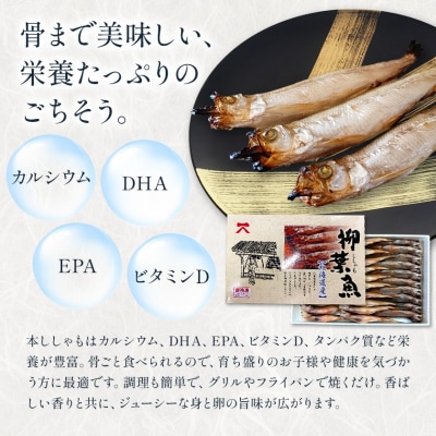 北海道産 ししゃも S40尾セット(オス20尾メス20尾) 有限会社阿部水産《14日以内に出荷予定》