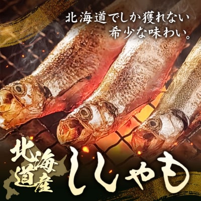 北海道産 ししゃも M40尾セット(オス20尾メス20尾) 有限会社阿部水産《14日以内に出荷予定》