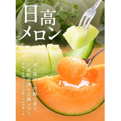 【先行予約】日高メロン 1玉 のざわ農園《7月上旬-8月中旬頃出荷》