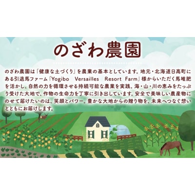 【先行予約】日高メロン 1玉 のざわ農園《7月上旬-8月中旬頃出荷》