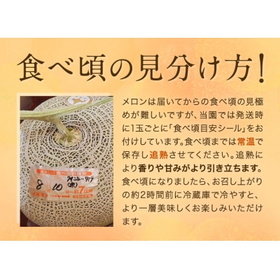 【先行予約】日高メロン 1玉 のざわ農園《7月上旬-8月中旬頃出荷》