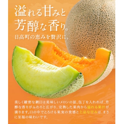 【先行予約】日高メロン 1玉 のざわ農園《7月上旬-8月中旬頃出荷》