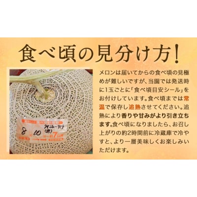 【先行予約】日高メロン 1玉 のざわ農園《7月上旬-8月中旬頃出荷》