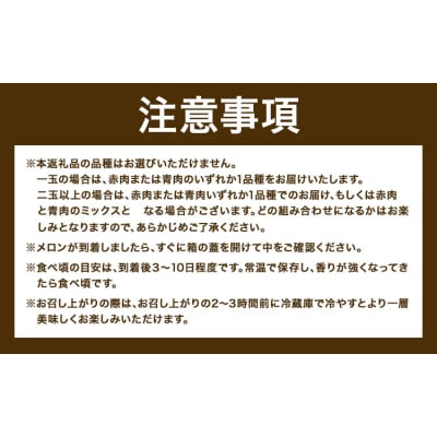 【先行予約】日高メロン 1玉 のざわ農園《7月上旬-8月中旬頃出荷》