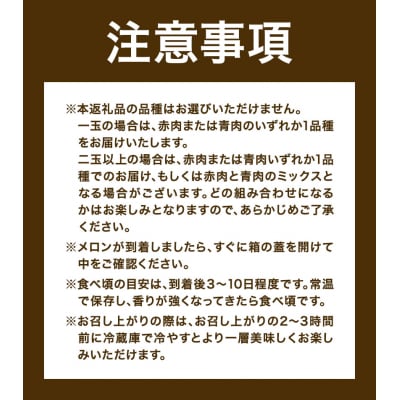 【先行予約】日高メロン 2玉 のざわ農園《7月上旬-8月中旬頃出荷》