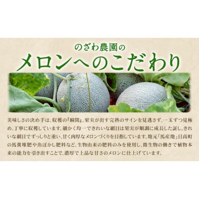 【先行予約】日高メロン 4-6玉 (8-9kg) のざわ農園《7月上旬-8月中旬頃出荷》