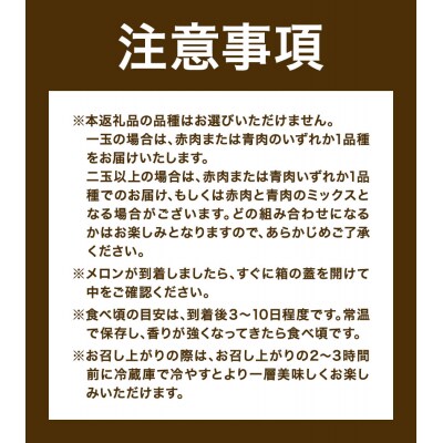 【先行予約】日高メロン 4-6玉 (8-9kg) のざわ農園《7月上旬-8月中旬頃出荷》