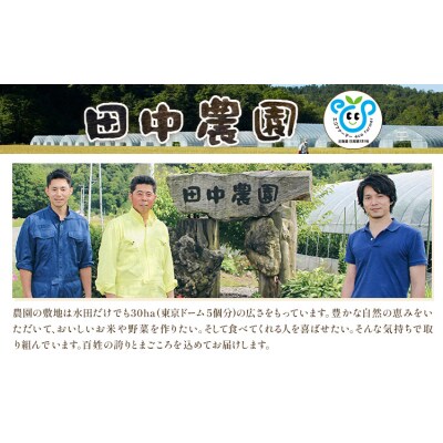 令和7年度 ゆめぴりか&おぼろづき 各5kg 10kg 田中農園《30日以内出荷予定(土日祝除く)》