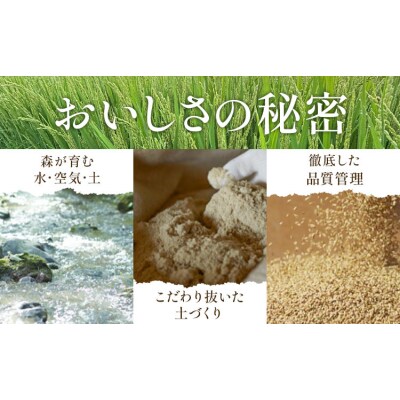 令和7年度 ゆめぴりか&おぼろづき 各5kg 10kg 田中農園《30日以内出荷予定(土日祝除く)》