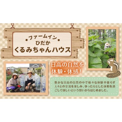 ひだかくるみちゃんハウス 1棟貸切り 宿泊券 1泊 4名様《30日以内に出荷予定(土日祝除く)》